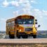 Skoolie : aménager un bus pour voyager