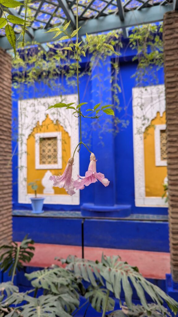 Le Jardin Majorelle de Marrakech